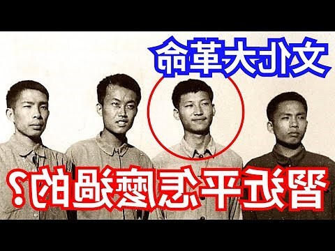 文化 大革命 好處